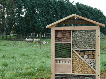 Insect Hotels